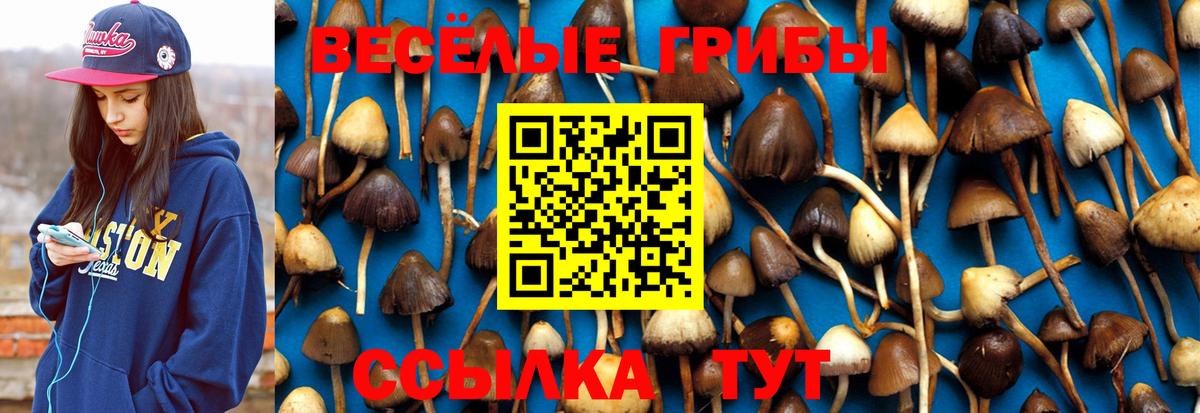 Артём  Галлюциногенные грибы Magic Shrooms  Галлюциногенные грибы Magic Shrooms  наркотики  Вход с VPN 