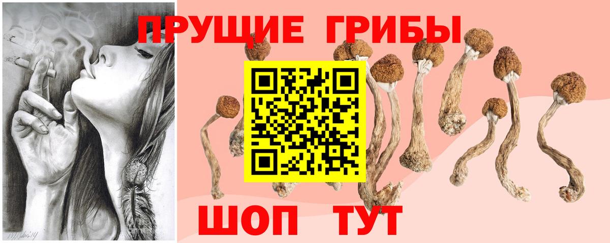 Галлюциногенные грибы GOLDEN TEACHER Артём