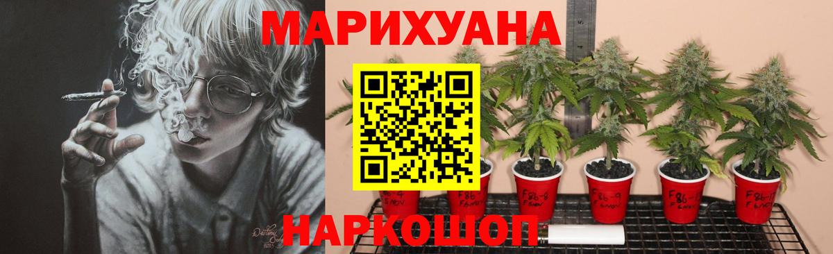Бошки марихуана Ganja  Бошки марихуана план  Конопля Bruce Banner  Вход с VPN  Артём 